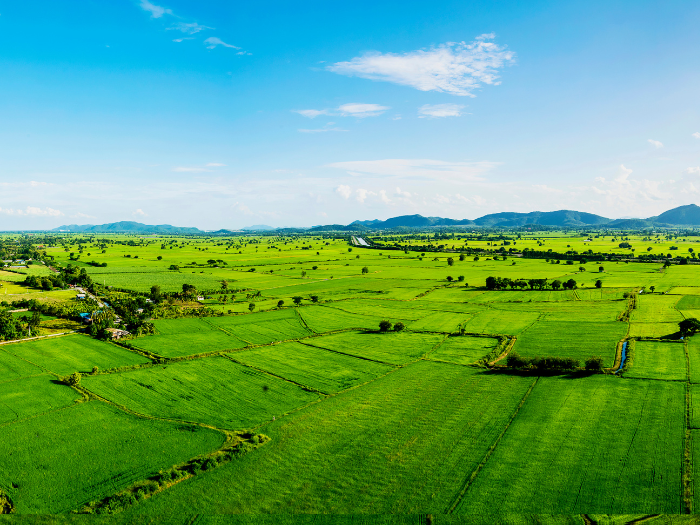 Kathiyawadi Estates Journey